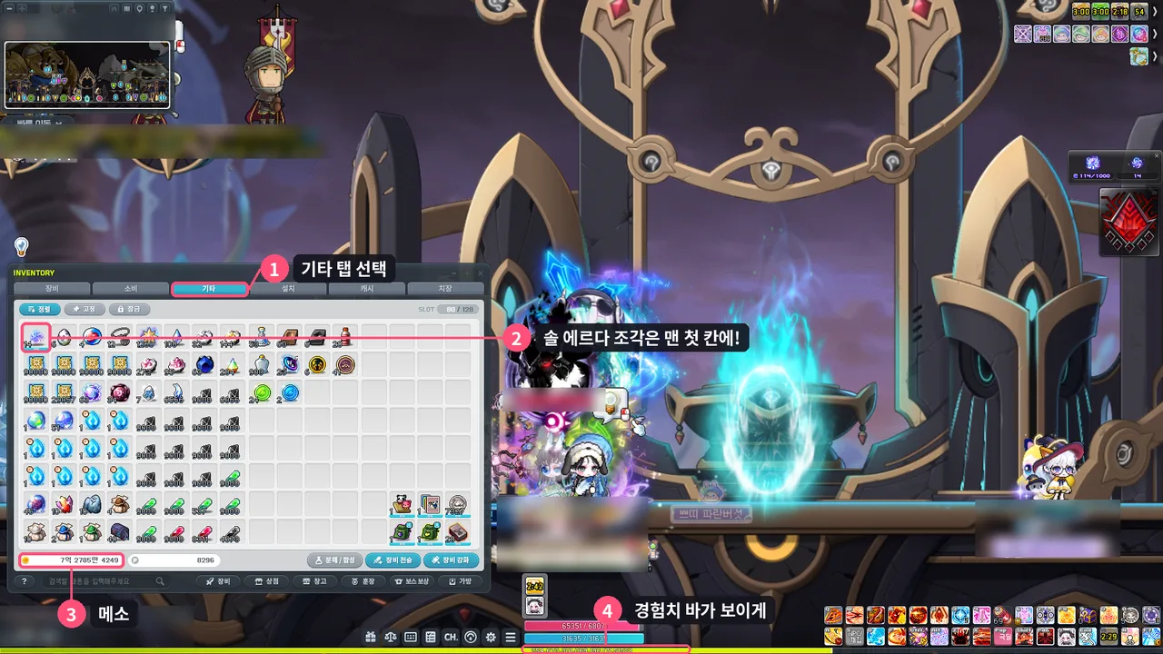 사냥 스크린샷 예시: 기타 탭, 첫 칸의 솔 에르다 조각, 메소, 경험치 바
